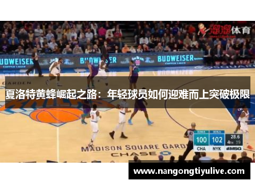 夏洛特黄蜂崛起之路：年轻球员如何迎难而上突破极限