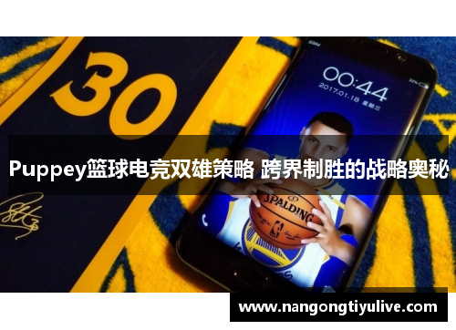 Puppey篮球电竞双雄策略 跨界制胜的战略奥秘