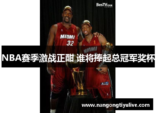 NBA赛季激战正酣 谁将捧起总冠军奖杯