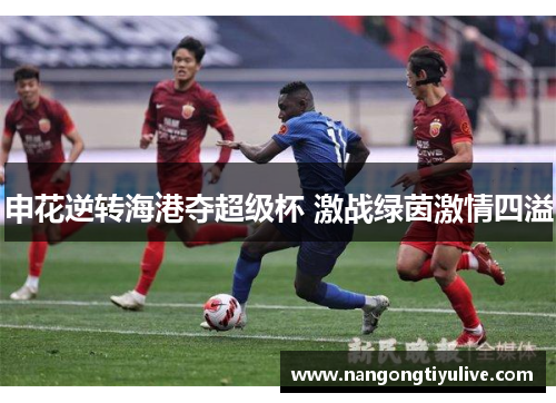 申花逆转海港夺超级杯 激战绿茵激情四溢